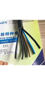 上海百勝高柔性屏蔽拖鏈電纜 拖鏈電纜領(lǐng)域的特種電纜專(zhuān)家